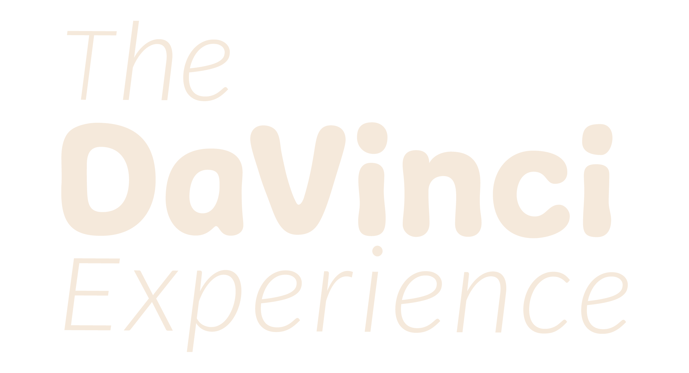 The Davinci Experience